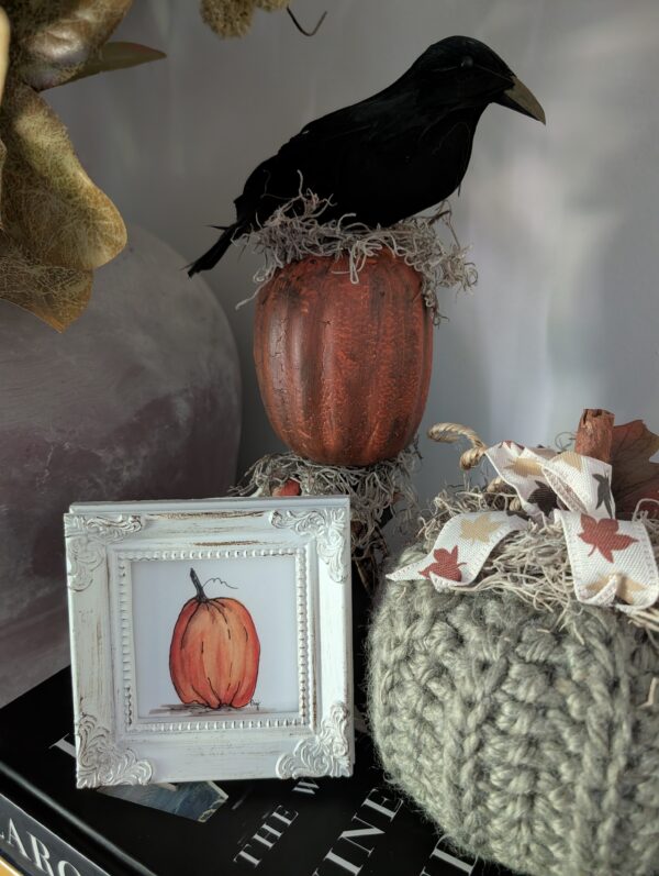 PXL_20260825_213712599 Hello Pumpkin